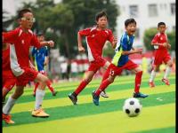 直布羅陀VS英屬維爾京群島直播_直布羅陀VS英屬維爾京群島直播觀看免費_直布羅陀VS英屬維爾京群島
