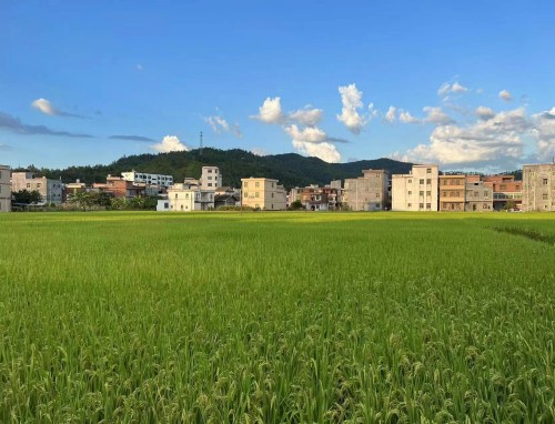 摩洛哥VS馬達加斯加直播_摩洛哥VS馬達加斯加直播免費觀看_摩洛哥VS馬達加斯加直播無插件觀看