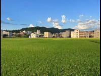 海底VS新西蘭直播_海底VS新西蘭直播觀看免費_海底VS新西蘭